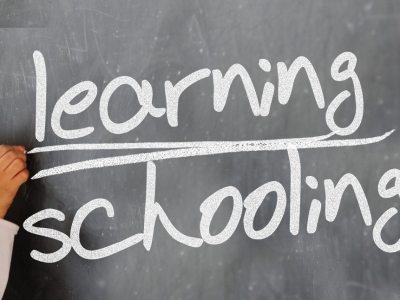leave-board-hand-learn-54597 leave-board-hand-learn-54597